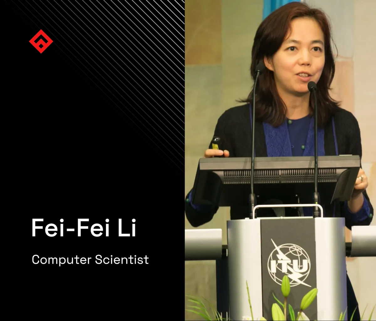 Fei Fei Li Computer Scientist