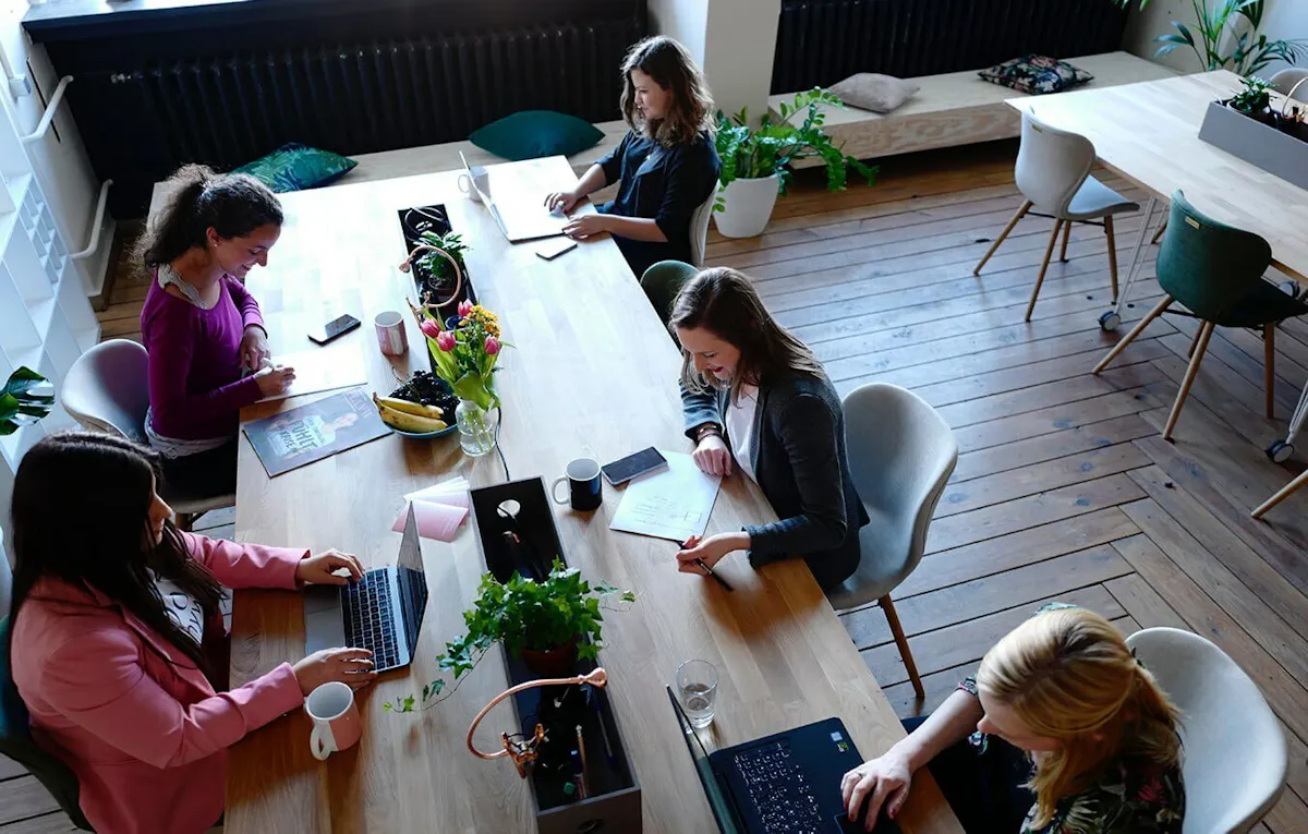 Women coworking up angle 1f10i